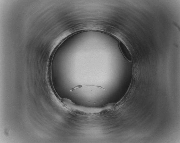 X0000100971139200807081213
