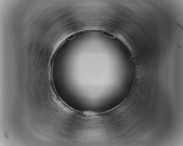 X0000100971140200807081213