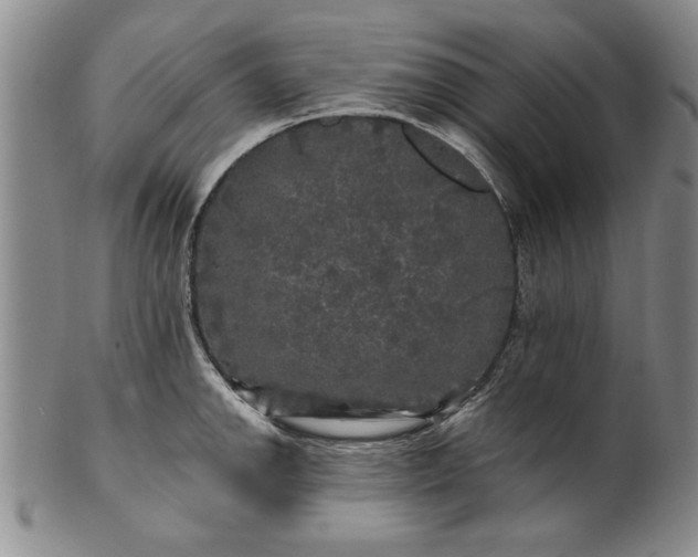X0000100971142200807081213