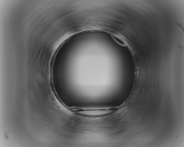 X0000100971143200807081213