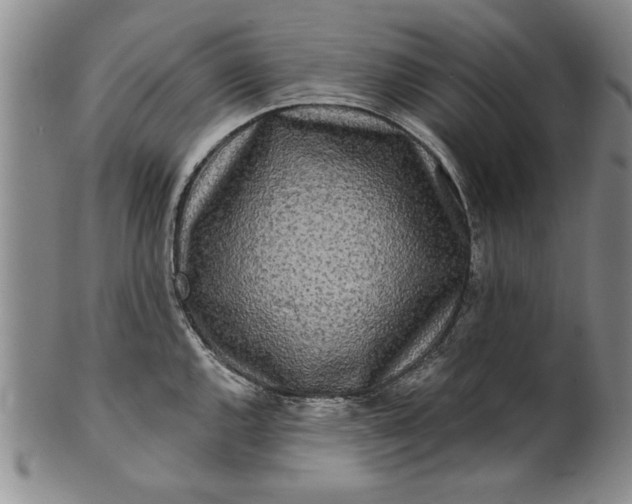 X0000100971144200807081213
