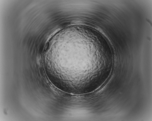 X0000100971145200807081213