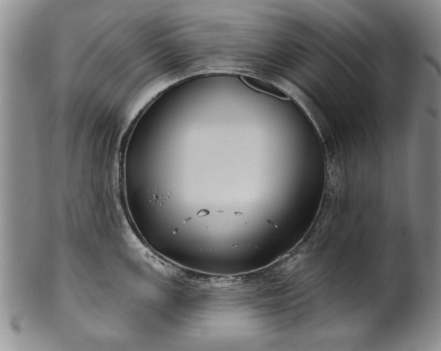 X0000100971147200807081213
