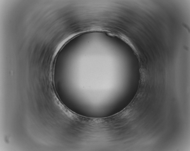 X0000100971148200807081213
