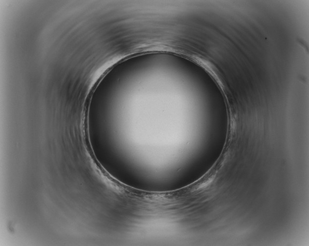 X0000100971149200807081213