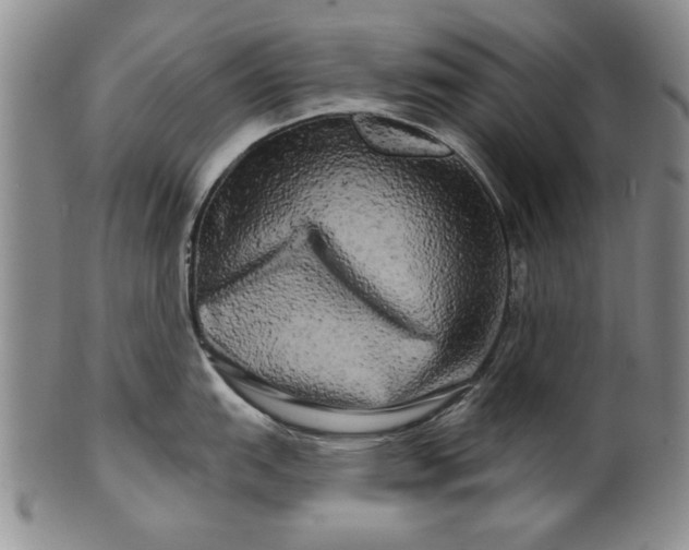 X0000100971151200807081213