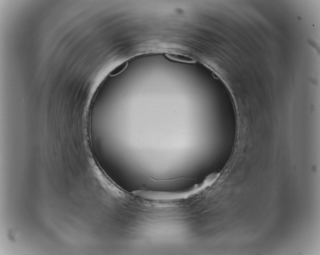 X0000100971152200807081213