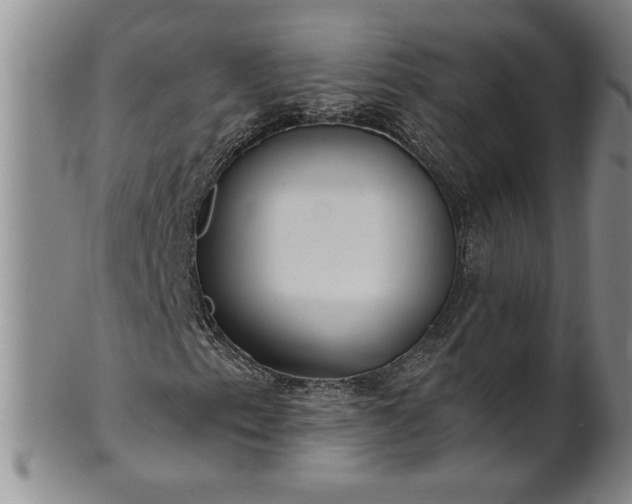 X0000100971153200807081212