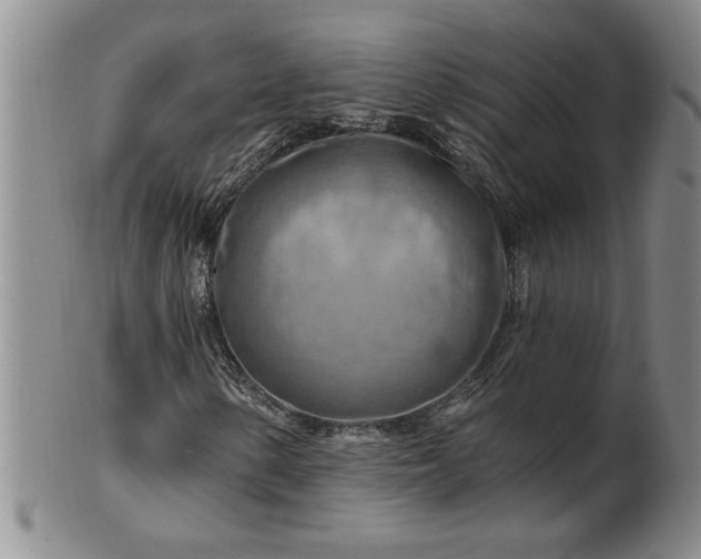 X0000100971154200807081212