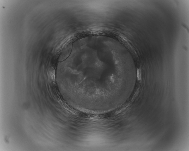 X0000100971155200807081212