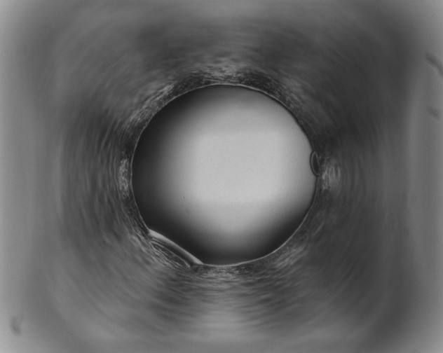 X0000100971156200807081212