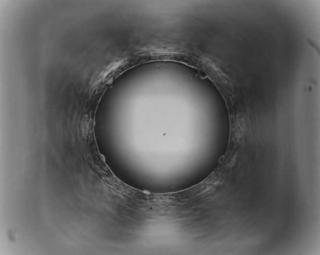 X0000100971157200807081212