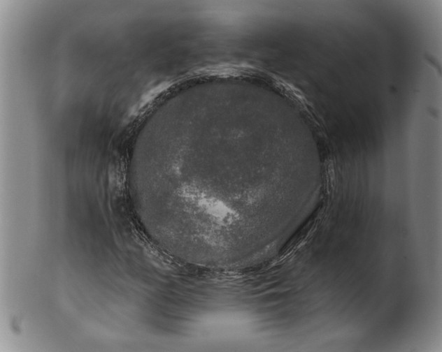 X0000100971158200807081212