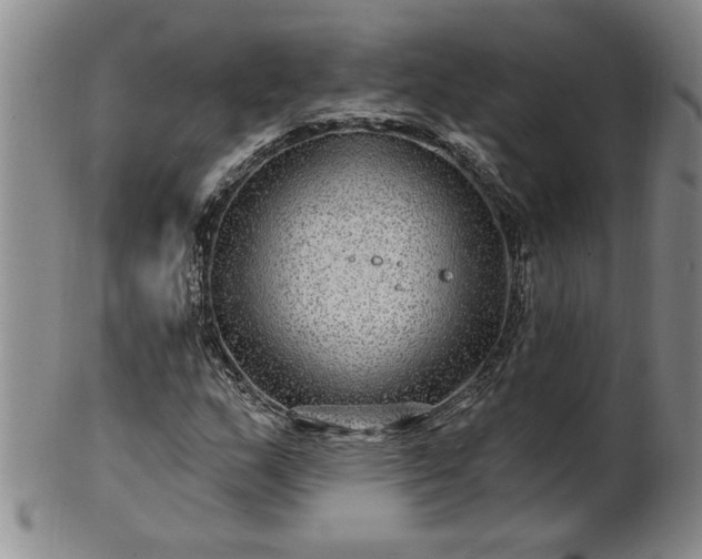 X0000100971159200807081212