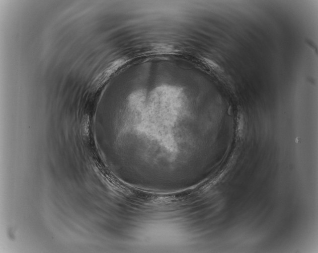 X0000100971161200807081212