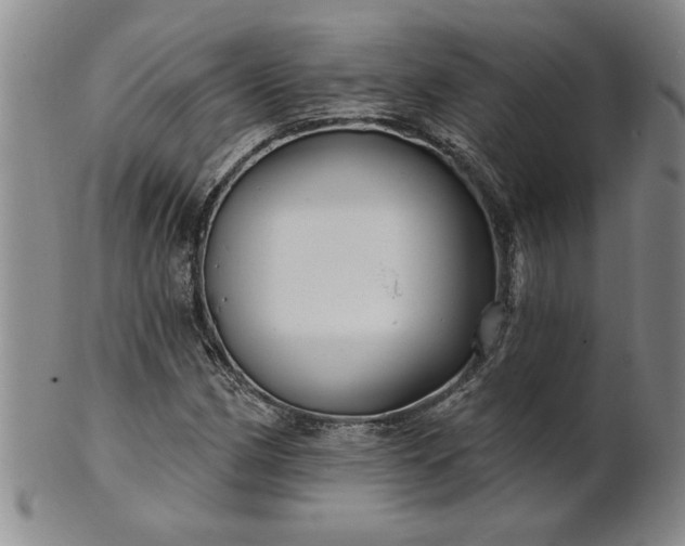 X0000100971162200807081212