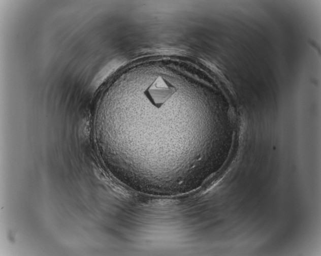 X0000100971163200807081212