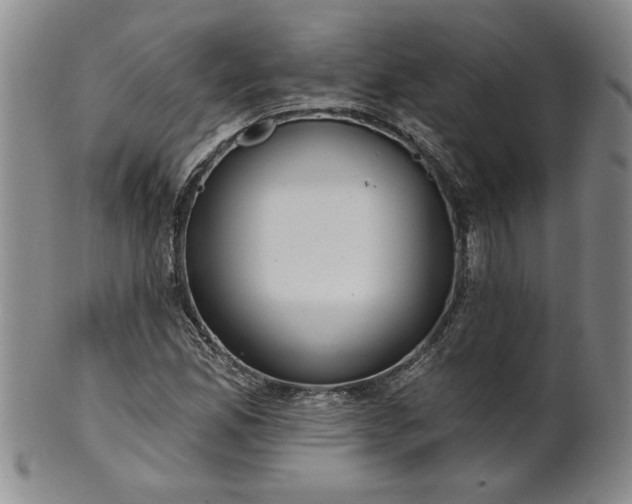 X0000100971165200807081212