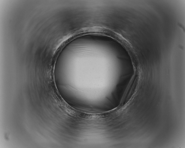 X0000100971166200807081212
