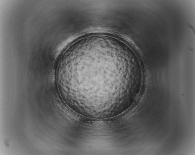 X0000100971167200807081212