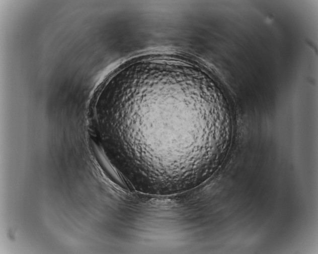 X0000100971168200807081212