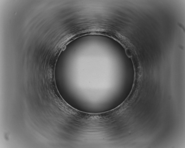 X0000100971169200807081212