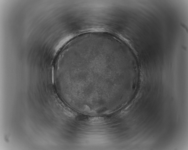 X0000100971171200807081212