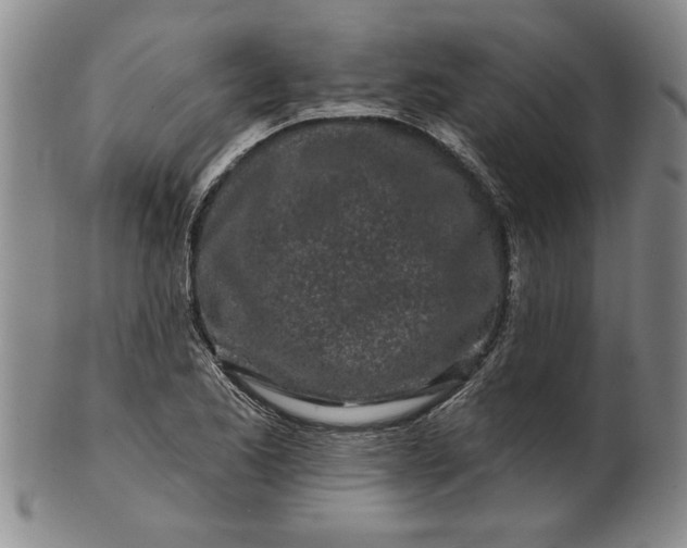 X0000100971173200807081212