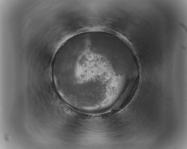 X0000100971174200807081212