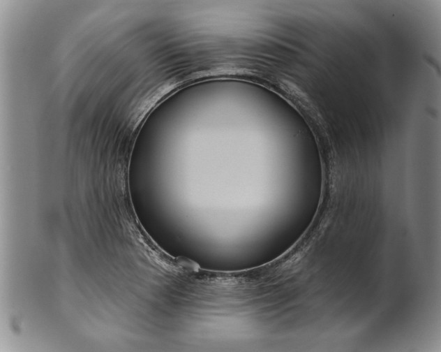 X0000100971177200807081212