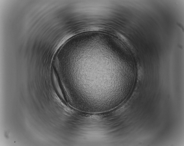X0000100971178200807081212