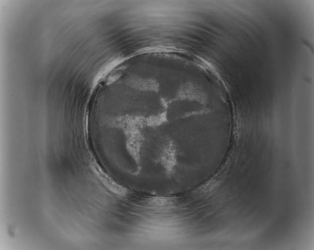 X0000100971179200807081212