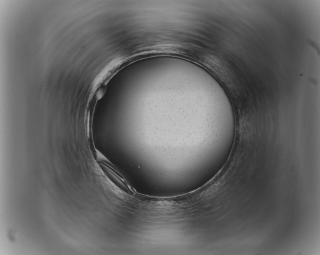 X0000100971180200807081212