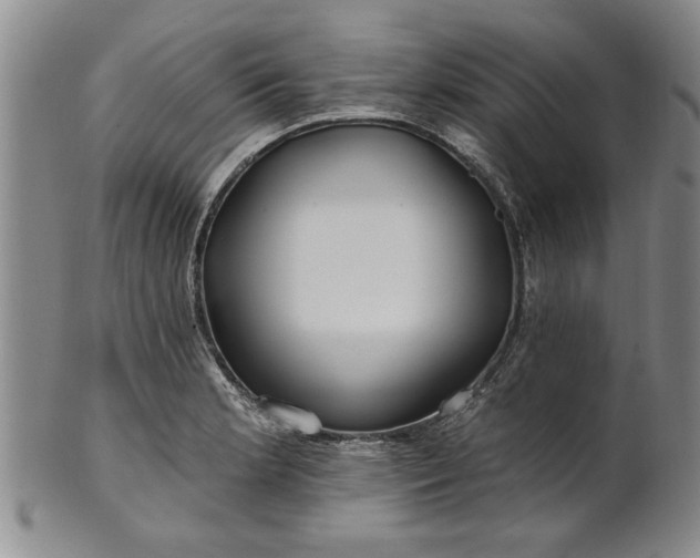 X0000100971181200807081212