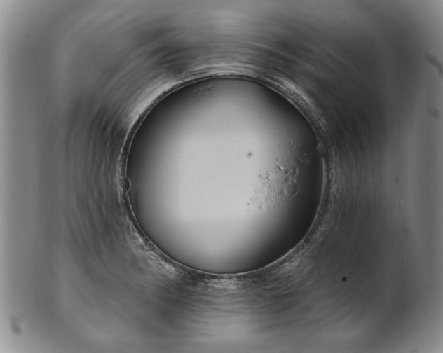 X0000100971182200807081212