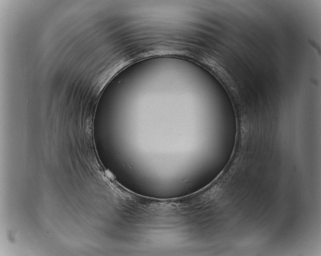 X0000100971185200807081212