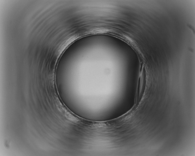 X0000100971186200807081212