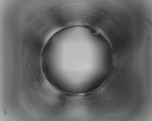 X0000100971187200807081212