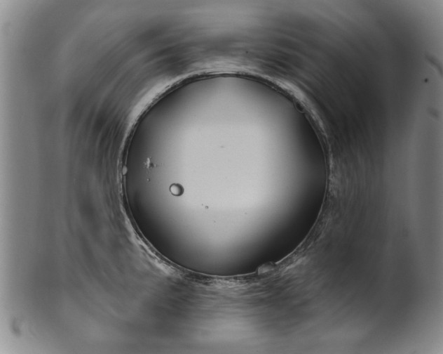 X0000100971191200807081211