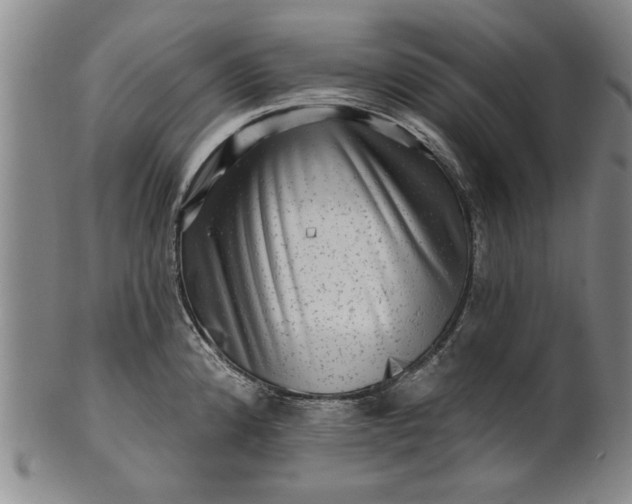X0000100971192200807081211