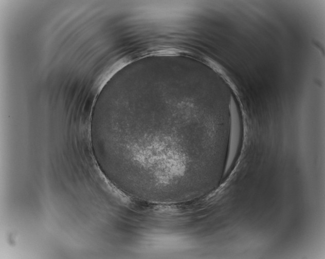 X0000100971194200807081211
