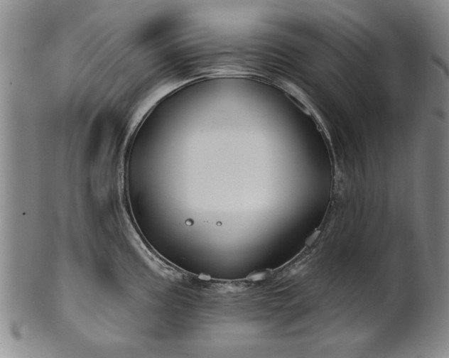 X0000100971195200807081211