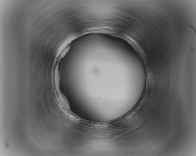 X0000100971196200807081211