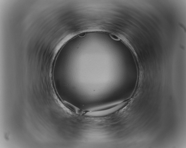 X0000100971197200807081211