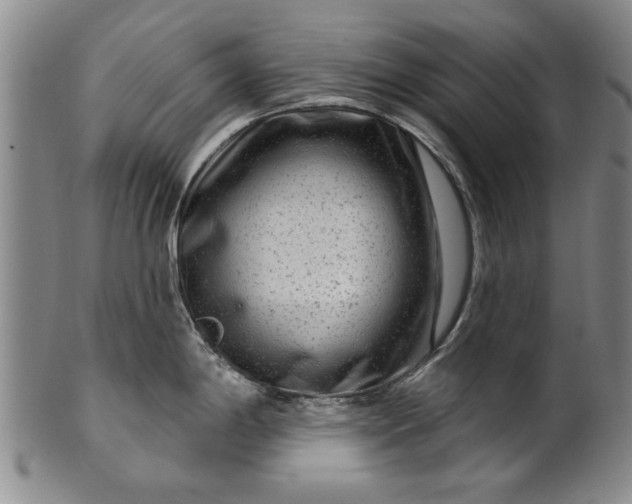 X0000100971198200807081211