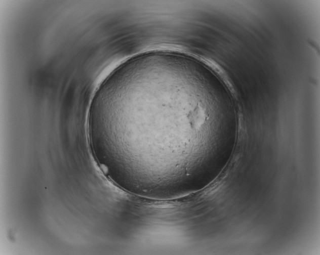 X0000100971199200807081211