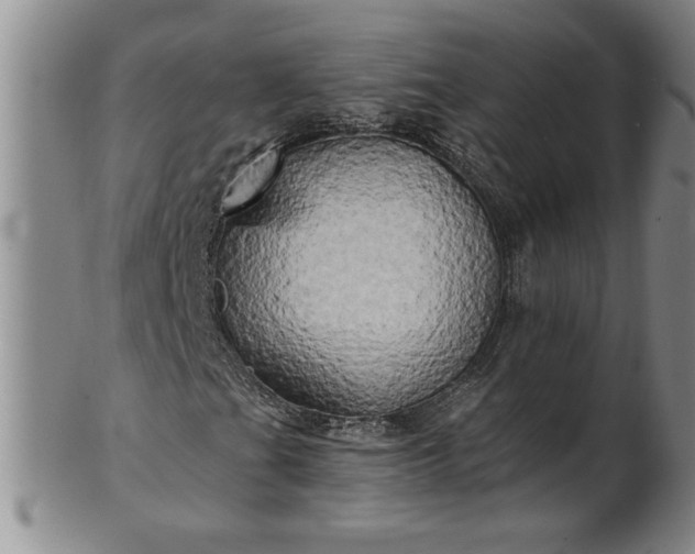 X0000100971201200807081211