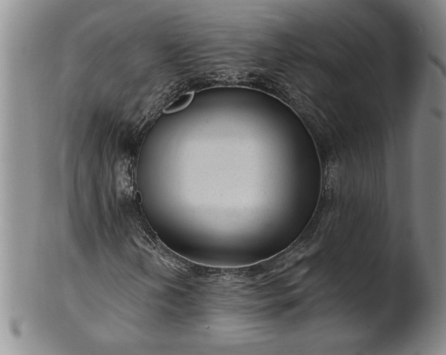 X0000100971202200807081211