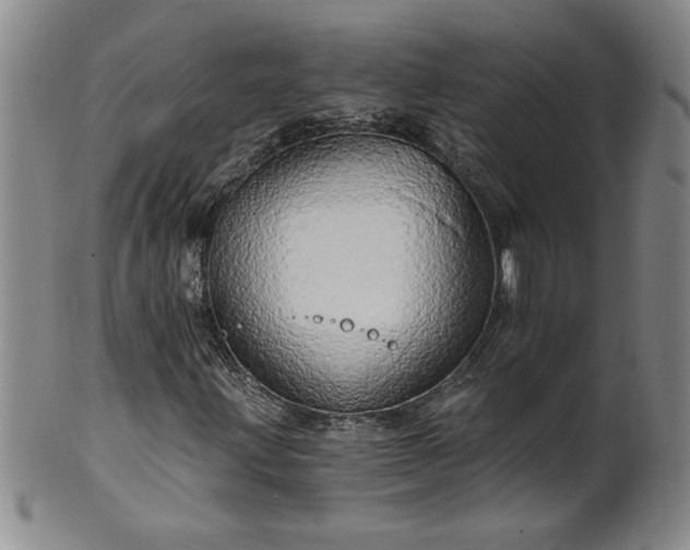 X0000100971203200807081211
