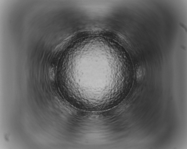 X0000100971204200807081211